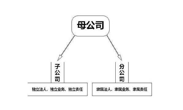 分公司的經(jīng)營資質(zhì)總公司能用進(jìn)行投標(biāo)嗎？